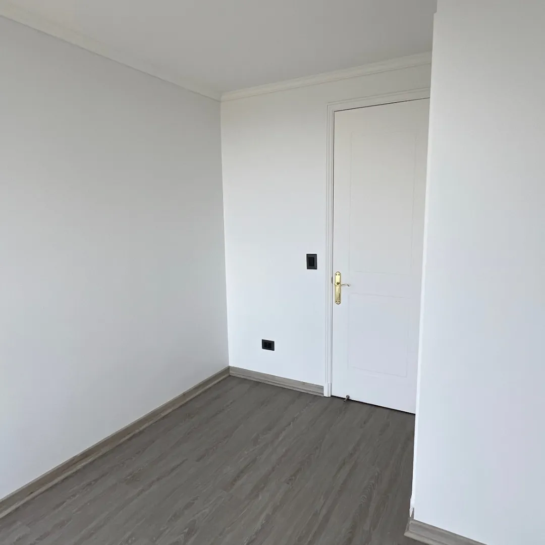 Varas Mena, pintura y piso, después