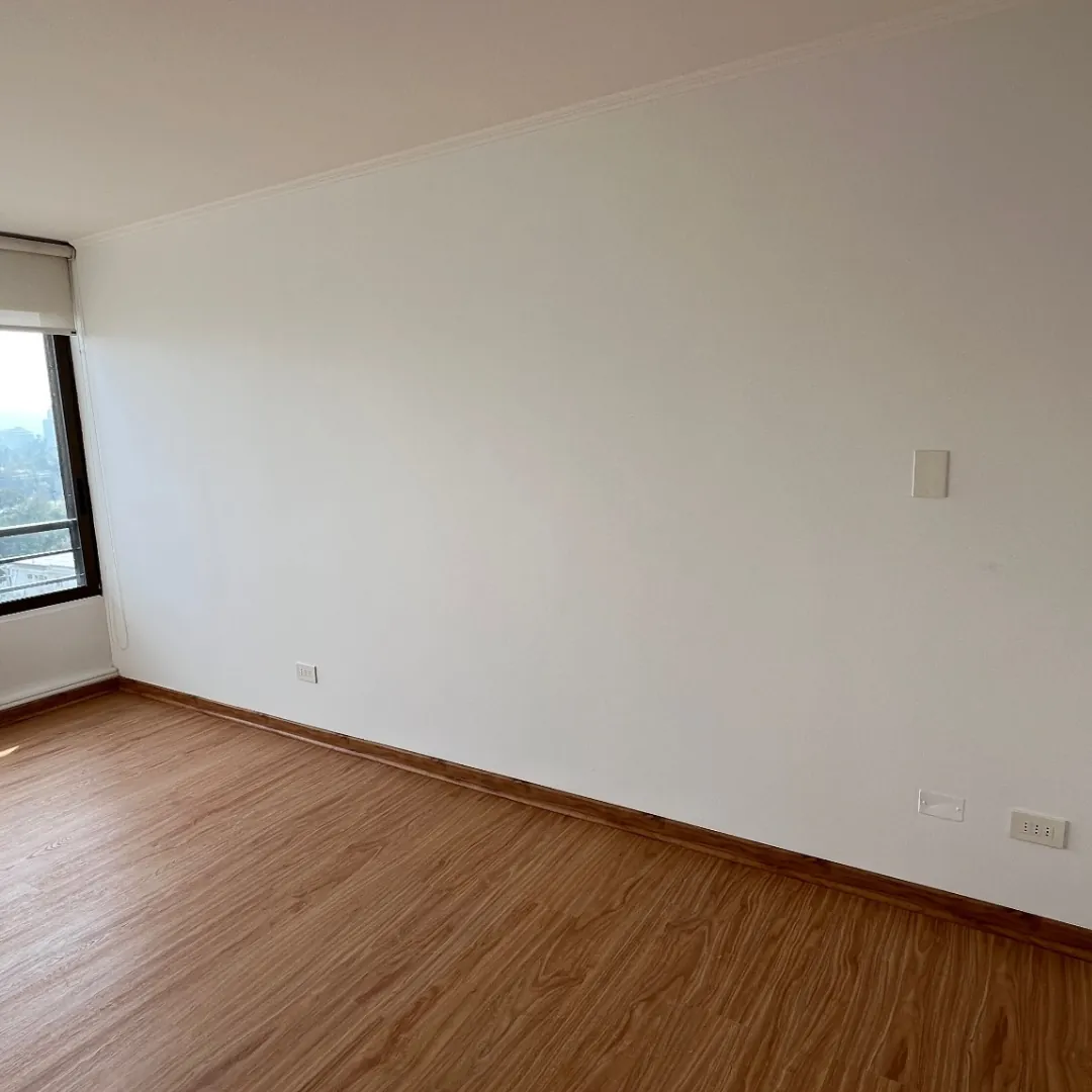 Martin de Zamora, pintura y piso, después