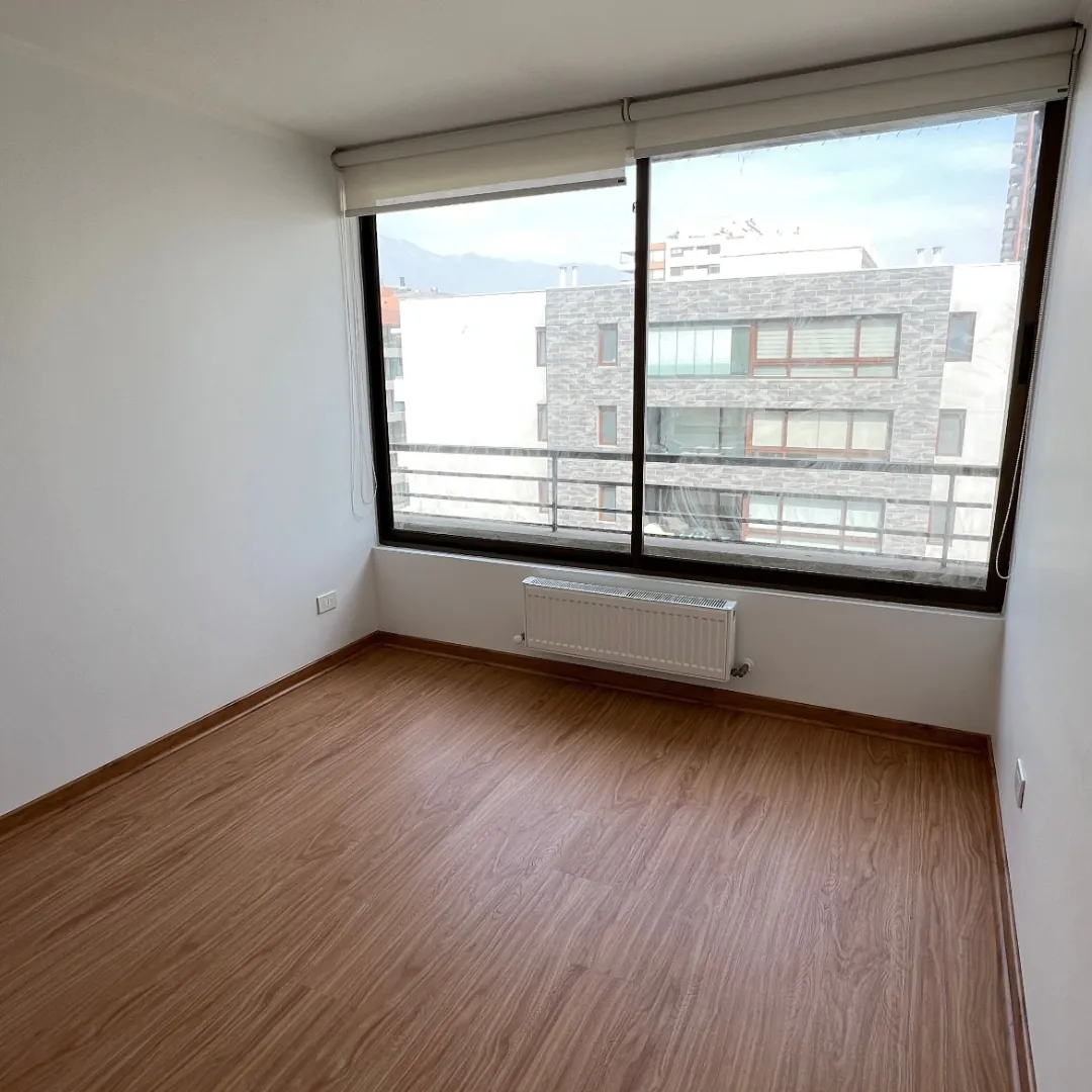 Martin de Zamora, pintura y piso, después
