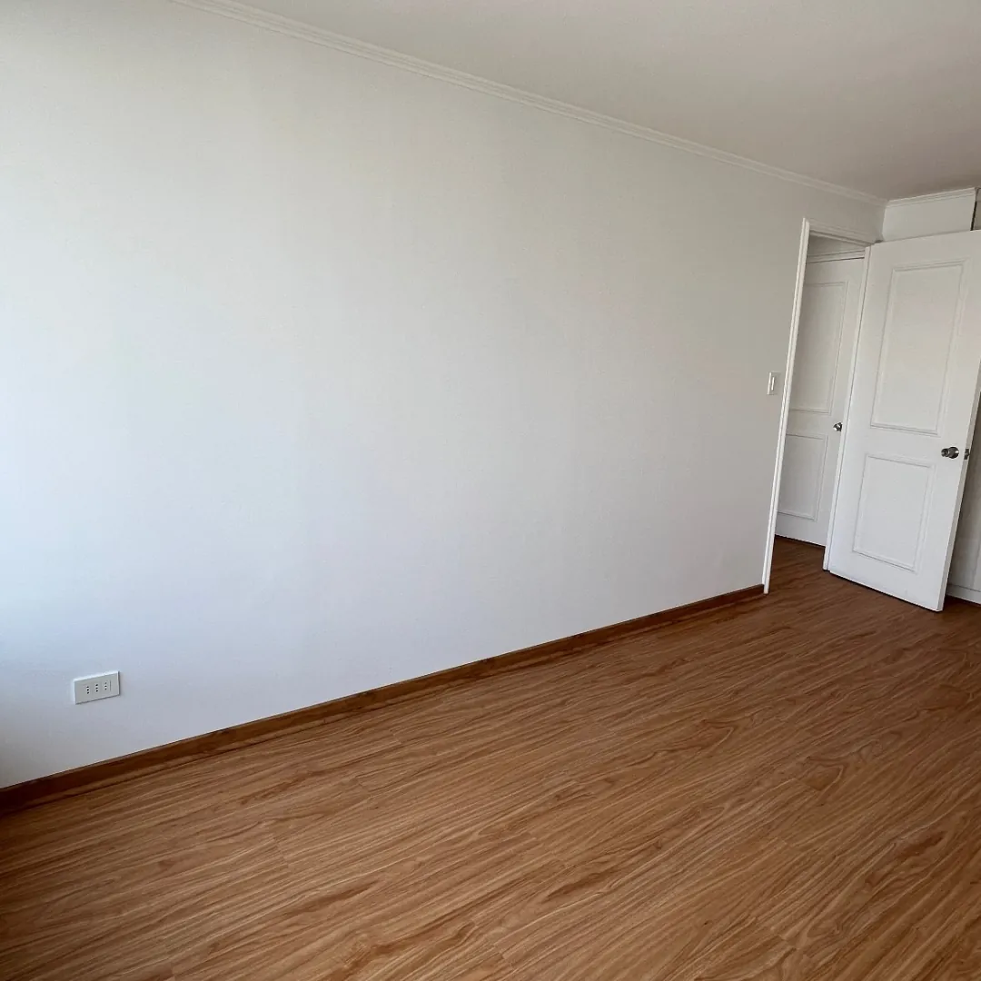 Martin de Zamora, pintura y piso, después