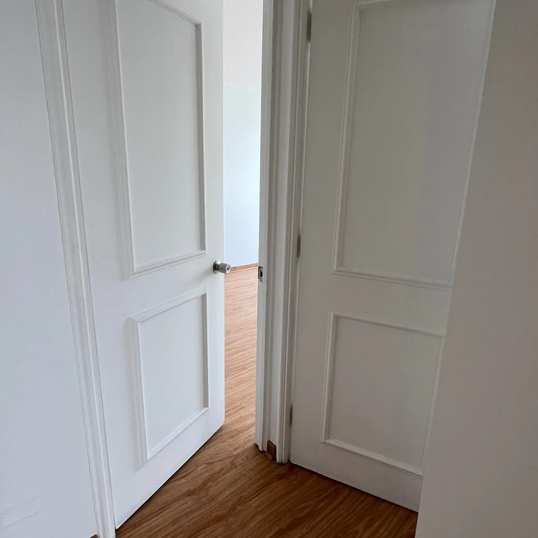 Martin de Zamora, pintura y piso, después